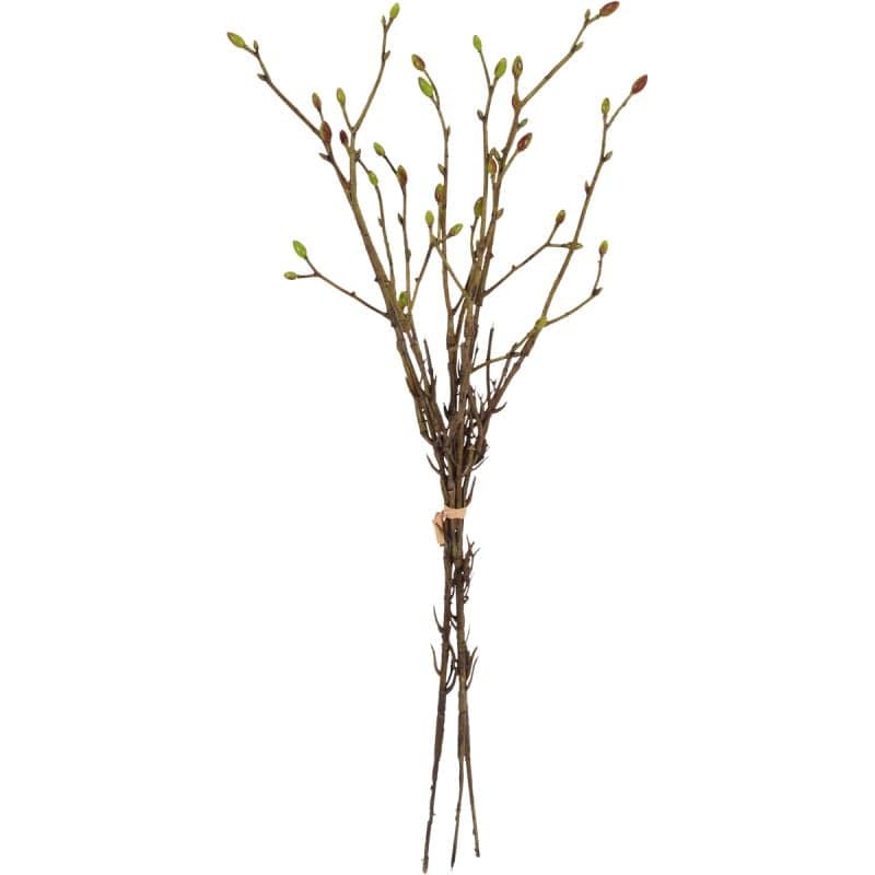Kunsttak Tilia